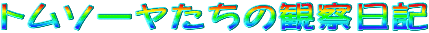 �g���\�[�������̊ώ@���L
