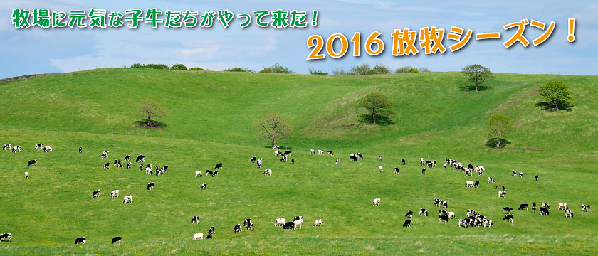 2016�q��X�^�b�t