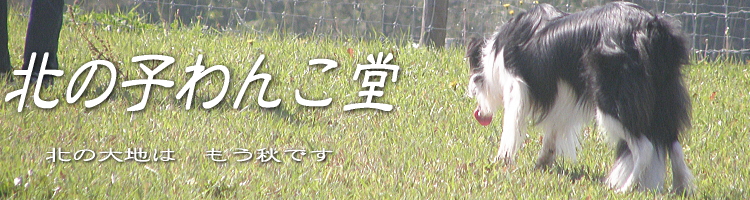 北の子わんこ堂